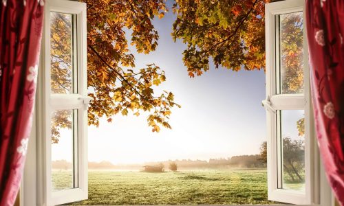 French-Window French-Window